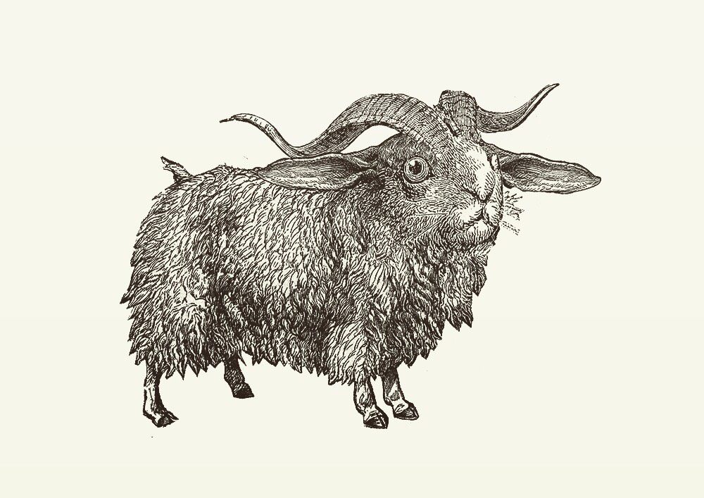 Animal Illustrations wood engraving, rabbit sheep