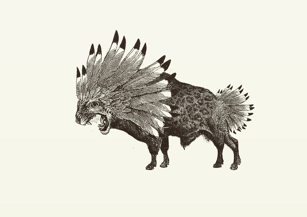 Animal Illustrations wood engraving, feathered jaguar bison