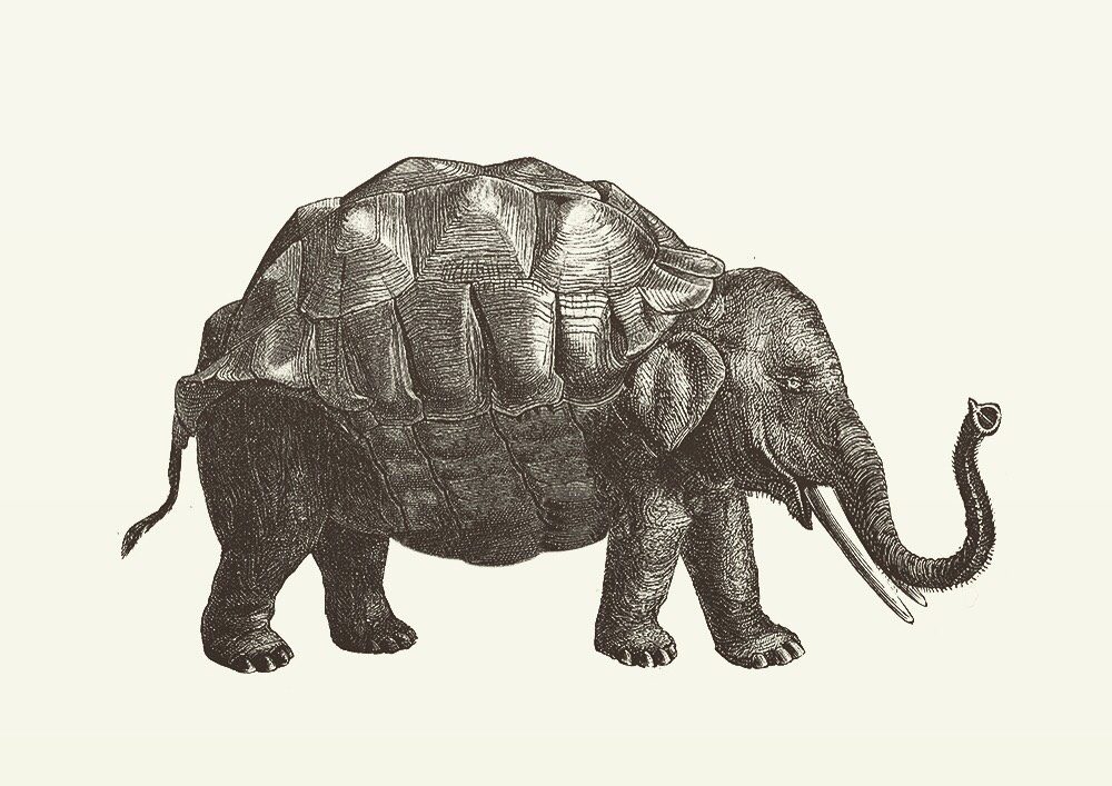 Animal Illustrations wood engraving, turtle elephant