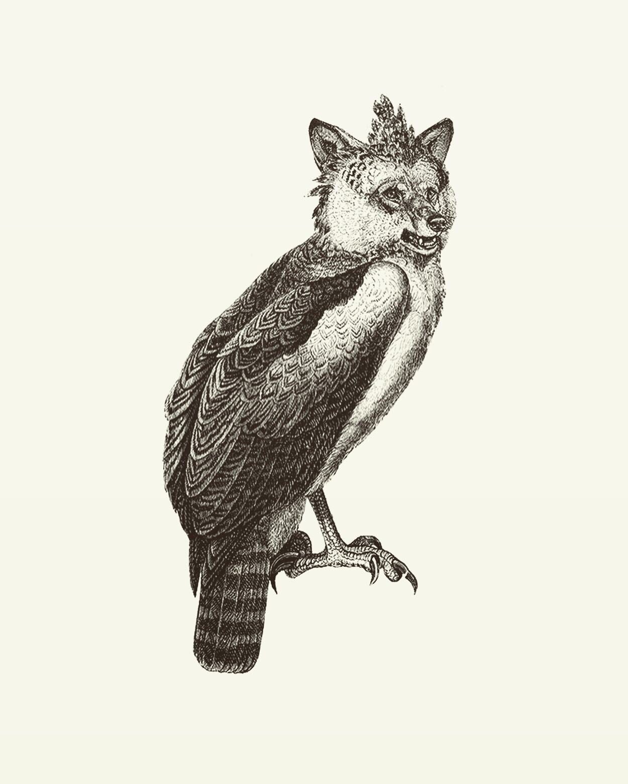 Animal Illustrations wood engraving, Hawk wolf