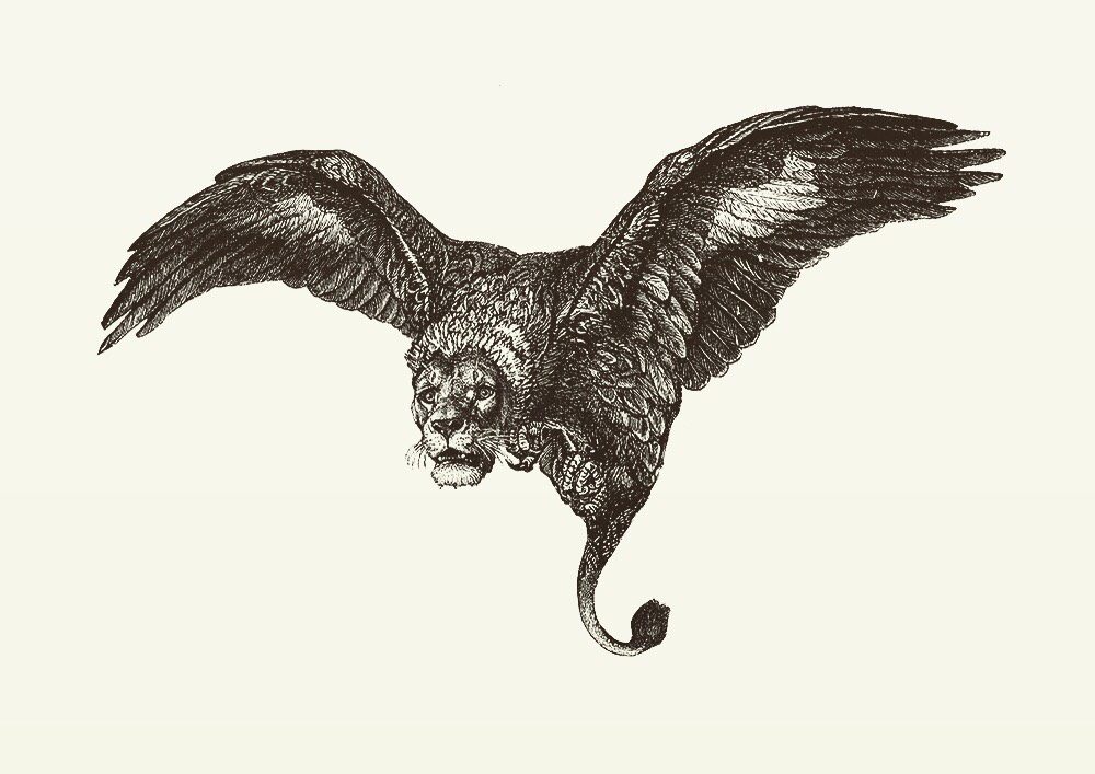 Animal Illustrations wood engraving, eagle, lion