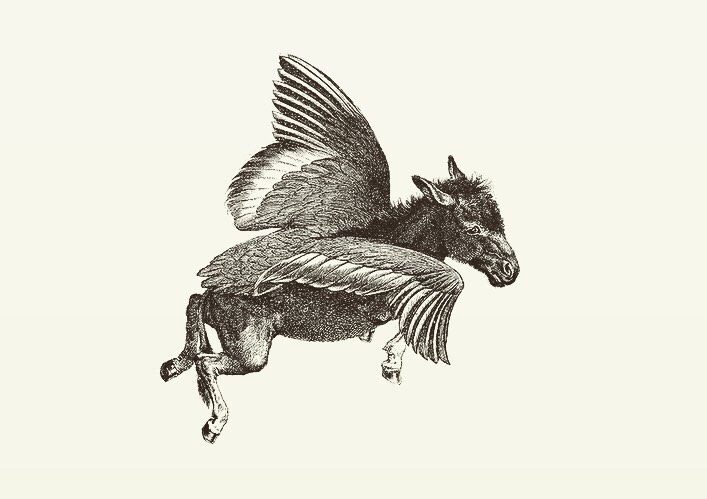 Animal Illustrations wood engraving. flying donkey