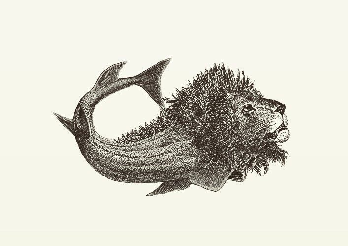 Animal Illustrations, wood engraving, lion, shark