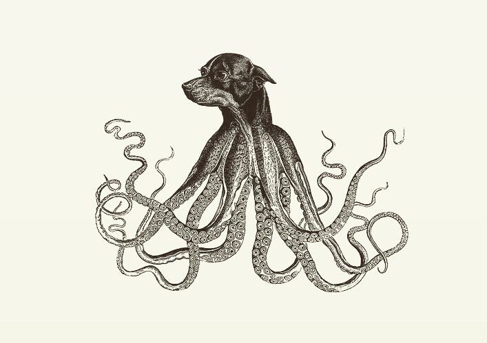 Animal Illustrations wood engraving octopus dog