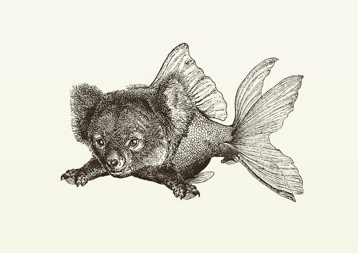 Animal Illustrations, wood engraving