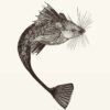 Maus - Fisch