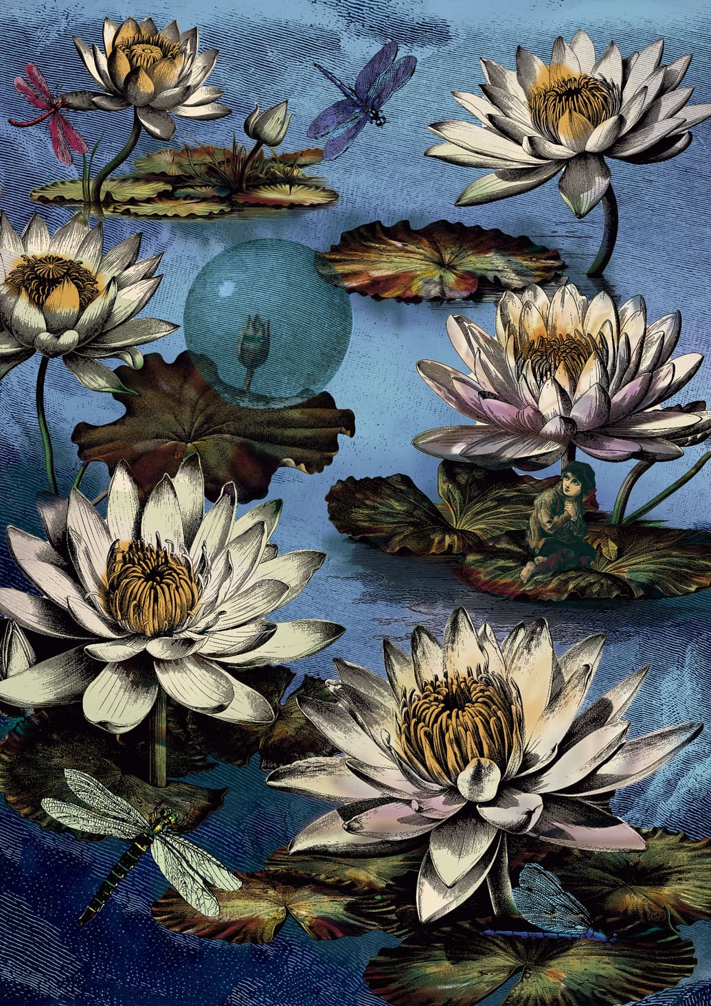 Die Stille der Lotusblumen